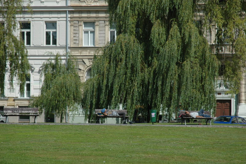 DSC_4558.JPG