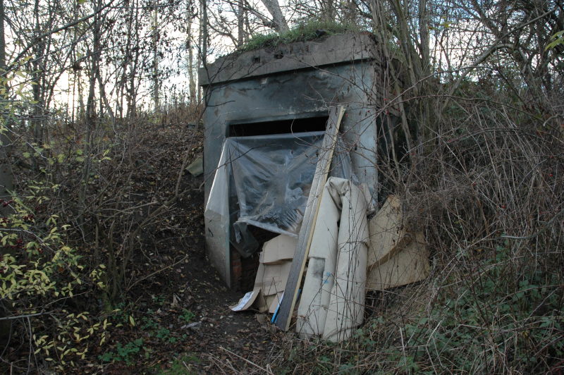 DSC_6119.JPG